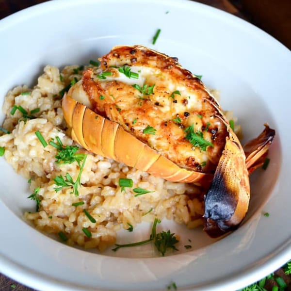 Grilled lobster tail with risotto, garnished with fresh herbs, served in a white bowl.