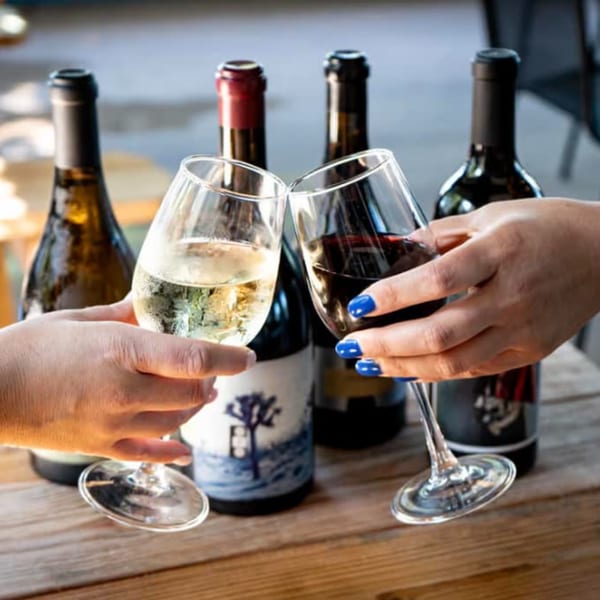 Two people clinking wine glasses, one white and one red, with wine bottles in the background.